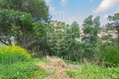 Terra a Lloret De Mar, Gerona, Lloret De Mar - € 40.000 | Ref: 105T - foto 7