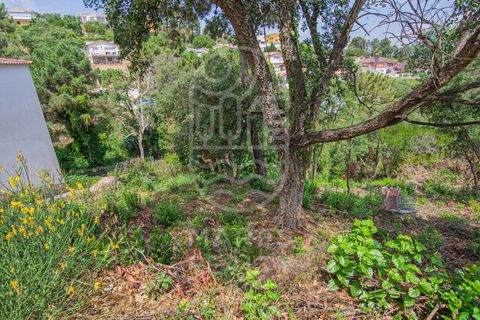 Terra a Lloret De Mar, Gerona, Lloret De Mar - € 40.000 | Ref: 105T - foto 8
