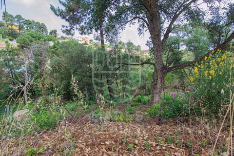 Terra a Lloret De Mar, Gerona, Lloret De Mar - € 40.000 | Ref: 105T - foto 9