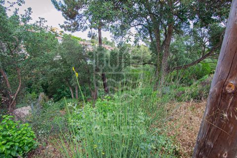Terra a Lloret De Mar, Gerona, Lloret De Mar - € 40.000 | Ref: 105T - foto 10