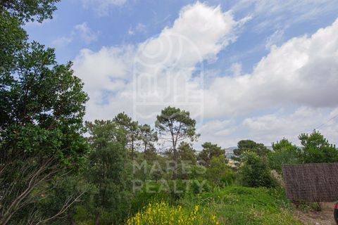Terra a Lloret De Mar, Gerona, Lloret De Mar - € 40.000 | Ref: 105T - foto 11