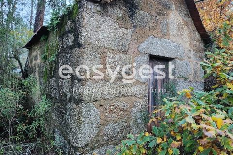 Helårsgrund i Tabua, Coimbra, Tabua - € 16.000 | Ref: RR90904 - foto 1