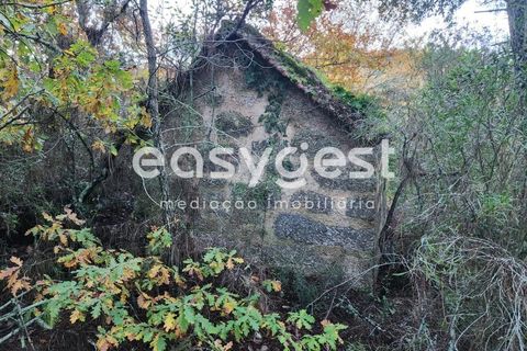 Helårsgrund i Tabua, Coimbra, Tabua - € 16.000 | Ref: RR90904 - foto 2