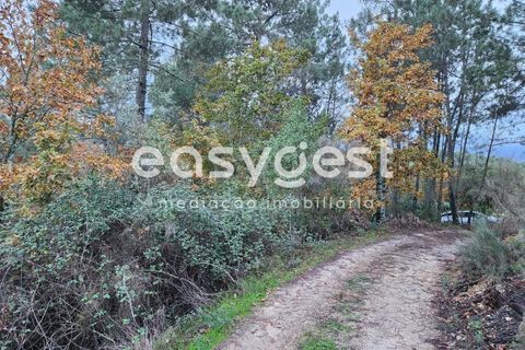 Helårsgrund i Tabua, Coimbra, Tabua - € 16.000 | Ref: RR90904 - foto 3