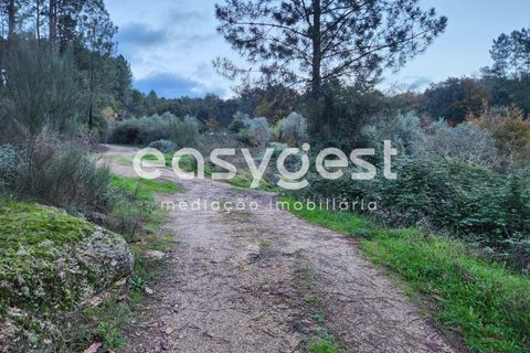 Helårsgrund i Tabua, Coimbra, Tabua - € 16.000 | Ref: RR90904 - foto 4