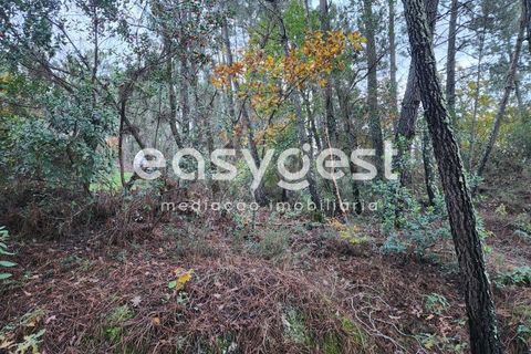 Helårsgrund i Tabua, Coimbra, Tabua - € 16.000 | Ref: RR90904 - foto 7