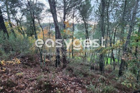 Helårsgrund i Tabua, Coimbra, Tabua - € 16.000 | Ref: RR90904 - foto 8