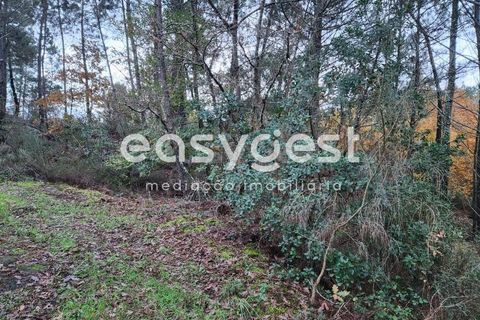 Helårsgrund i Tabua, Coimbra, Tabua - € 16.000 | Ref: RR90904 - foto 9