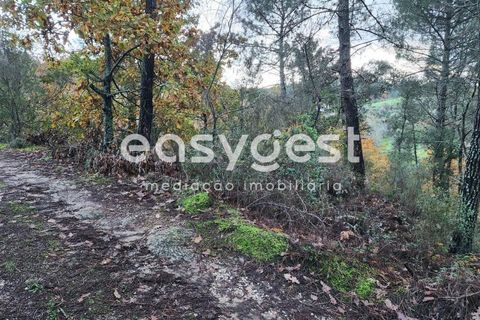 Helårsgrund i Tabua, Coimbra, Tabua - € 16.000 | Ref: RR90904 - foto 11