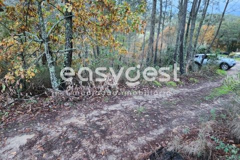 Helårsgrund i Tabua, Coimbra, Tabua - € 16.000 | Ref: RR90904 - foto 12