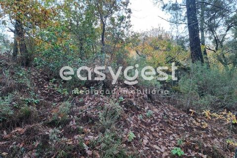 Helårsgrund i Tabua, Coimbra, Tabua - € 16.000 | Ref: RR90904 - foto 13
