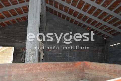 Terra a Macao, Santarem, Macao - € 49.000 | Ref: TM90880 - foto 3