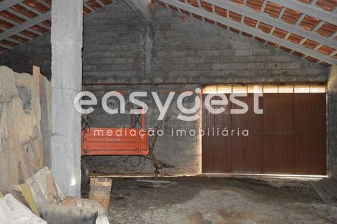 Terra a Macao, Santarem, Macao - € 49.000 | Ref: TM90880 - foto 5