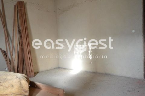 Terra a Macao, Santarem, Macao - € 49.000 | Ref: TM90880 - foto 11