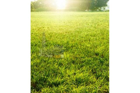 Helårsgrund i Maia, Porto, Maia - € 90.000 | Ref: PC_10003 - foto 2