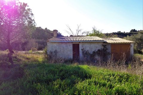 Finca i Maella, Zaragoza, Maella - € 56.000 | Ref: 0615 - foto 1
