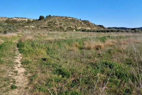 Finca i Maella, Zaragoza, Maella - € 56.000 | Ref: 0615 - foto 8