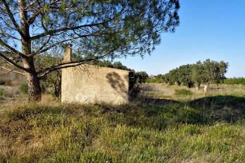Finca i Maella, Zaragoza, Maella - € 56.000 | Ref: 0615 - foto 7