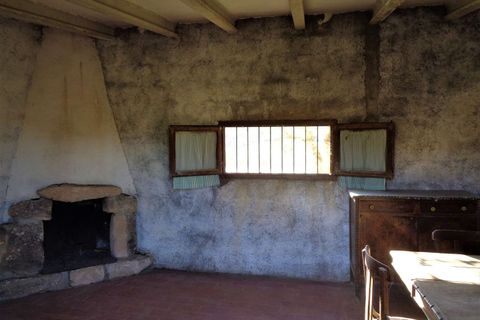 Finca i Maella, Zaragoza, Maella - € 56.000 | Ref: 0615 - foto 11