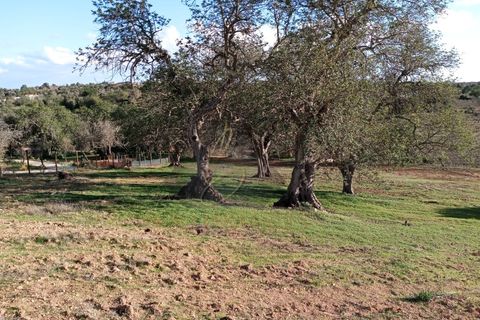 Villa i Algoz, Faro, Algoz - € 1.000.000 | Ref: CAS_241 - foto 7