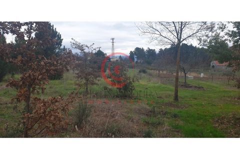 Helårsgrund i Chaves, Vila Real, Chaves - € 100.000 | Ref: CM01-0070 - foto 8
