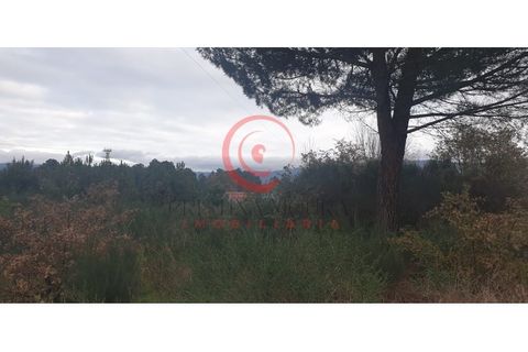 Helårsgrund i Chaves, Vila Real, Chaves - € 100.000 | Ref: CM01-0070 - foto 9