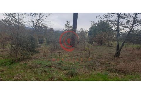 Helårsgrund i Chaves, Vila Real, Chaves - € 100.000 | Ref: CM01-0070 - foto 10