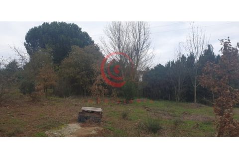 Helårsgrund i Chaves, Vila Real, Chaves - € 100.000 | Ref: CM01-0070 - foto 13