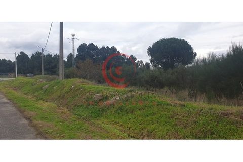 Helårsgrund i Chaves, Vila Real, Chaves - € 100.000 | Ref: CM01-0070 - foto 14