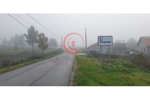 Helårsgrund i Chaves, Vila Real, Chaves - € 100.000 | Ref: CM01-0070 - foto 15