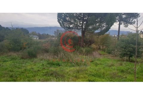Helårsgrund i Chaves, Vila Real, Chaves - € 100.000 | Ref: CM01-0070 - foto 17