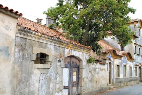Villa in Aveiro, Aveiro, Aveiro - € 390.000 | Ref: AV22/252 - foto 4