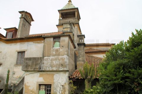 Villa in Aveiro, Aveiro, Aveiro - € 390.000 | Ref: AV22/252 - foto 18