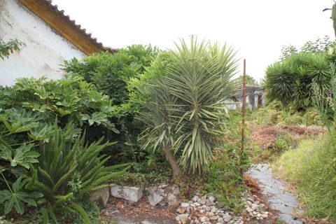 Villa in Aveiro, Aveiro, Aveiro - € 390.000 | Ref: AV22/252 - foto 19