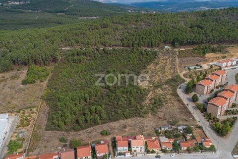 Terra a Sabrosa, Vila Real, Sabrosa - € 580.000 | Ref: ZMPT554109 - foto 2