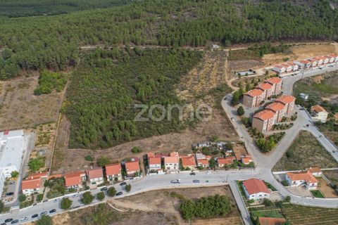 Terra a Sabrosa, Vila Real, Sabrosa - € 580.000 | Ref: ZMPT554109 - foto 3