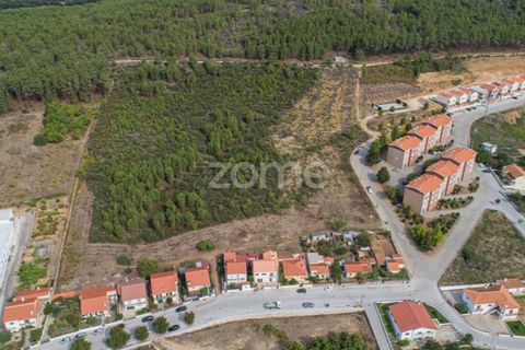 Terra a Sabrosa, Vila Real, Sabrosa - € 580.000 | Ref: ZMPT554109 - foto 4