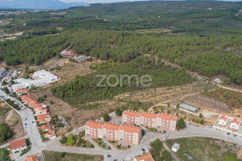 Terra a Sabrosa, Vila Real, Sabrosa - € 580.000 | Ref: ZMPT554109 - foto 5