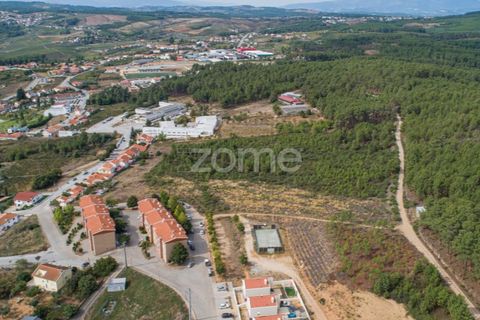 Terra a Sabrosa, Vila Real, Sabrosa - € 580.000 | Ref: ZMPT554109 - foto 6