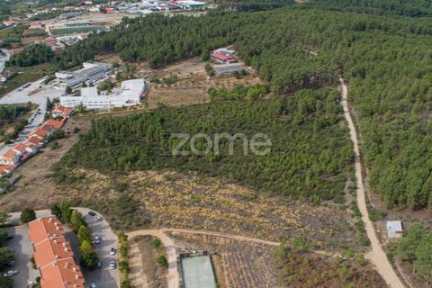Terra a Sabrosa, Vila Real, Sabrosa - € 580.000 | Ref: ZMPT554109 - foto 7