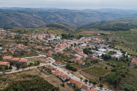 Terra a Sabrosa, Vila Real, Sabrosa - € 580.000 | Ref: ZMPT554109 - foto 8
