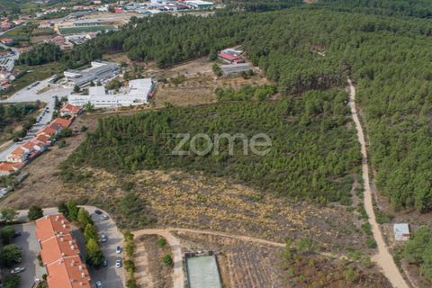 Terra a Sabrosa, Vila Real, Sabrosa - € 580.000 | Ref: ZMPT554109 - foto 9