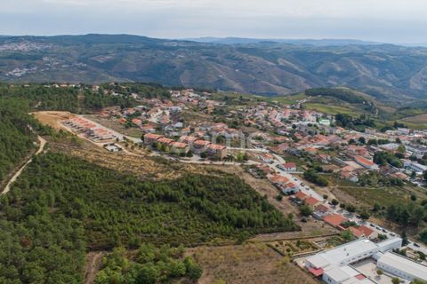 Terra a Sabrosa, Vila Real, Sabrosa - € 580.000 | Ref: ZMPT554109 - foto 10