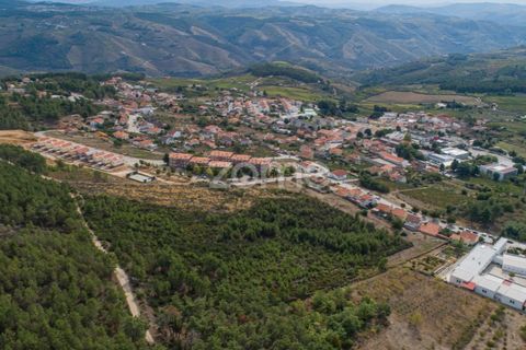 Terra a Sabrosa, Vila Real, Sabrosa - € 580.000 | Ref: ZMPT554109 - foto 11