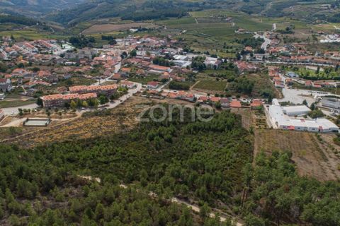 Terra a Sabrosa, Vila Real, Sabrosa - € 580.000 | Ref: ZMPT554109 - foto 12
