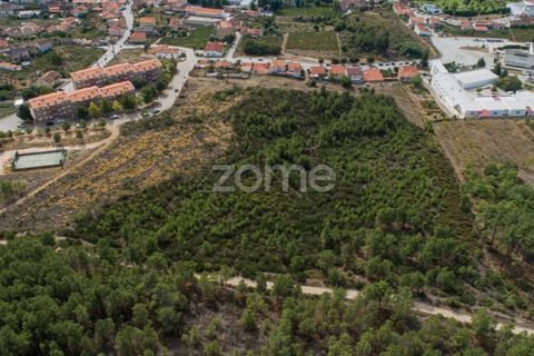 Terra a Sabrosa, Vila Real, Sabrosa - € 580.000 | Ref: ZMPT554109 - foto 13