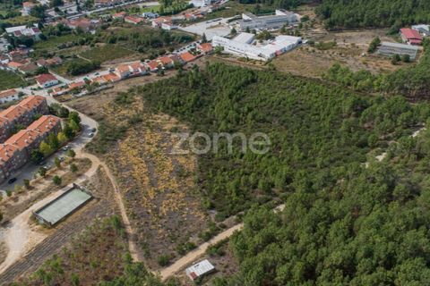 Terra a Sabrosa, Vila Real, Sabrosa - € 580.000 | Ref: ZMPT554109 - foto 14