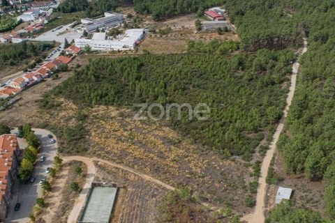 Terra a Sabrosa, Vila Real, Sabrosa - € 580.000 | Ref: ZMPT554109 - foto 15