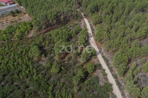 Terra a Sabrosa, Vila Real, Sabrosa - € 580.000 | Ref: ZMPT554109 - foto 17