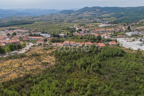 Terra a Sabrosa, Vila Real, Sabrosa - € 580.000 | Ref: ZMPT554109 - foto 18
